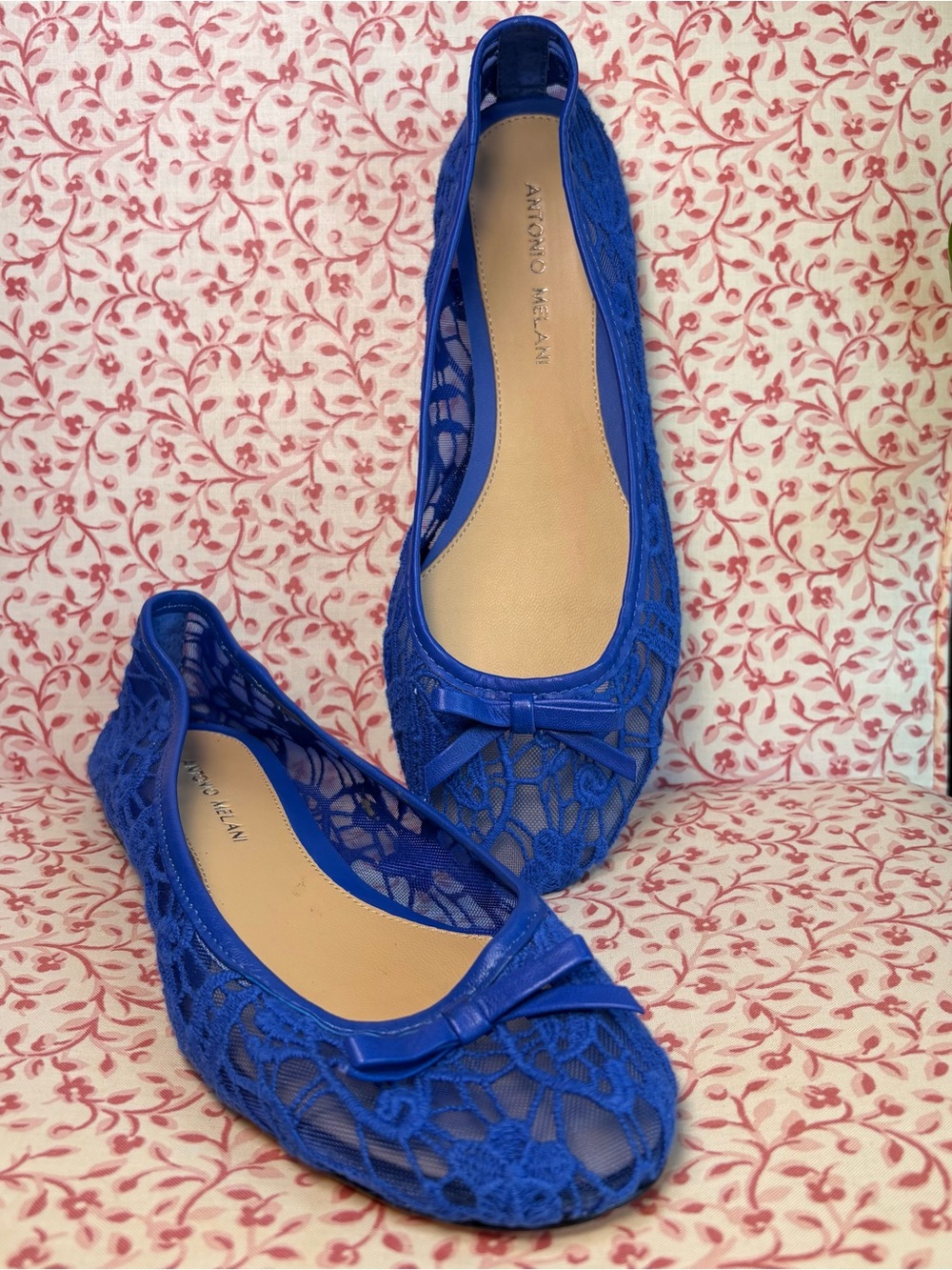 ANTONIO MELANI Royal Blue Lace Ballet Flats